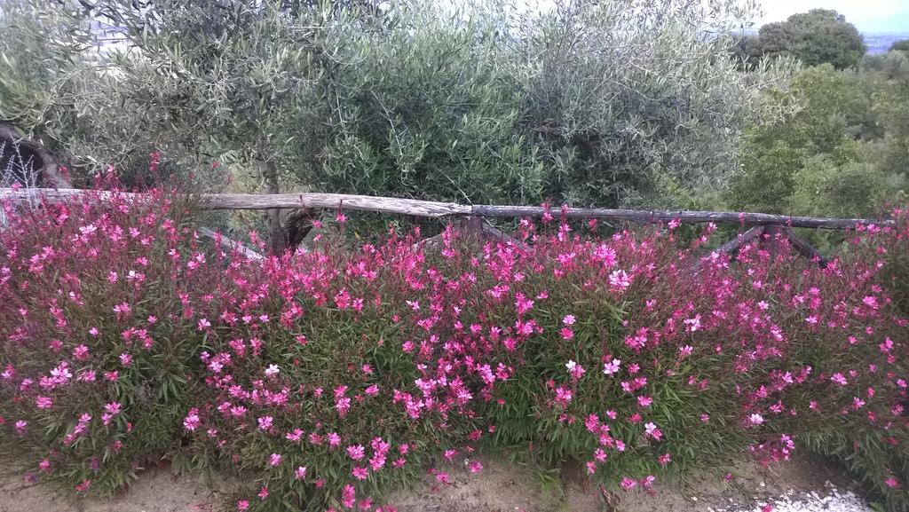 Piccolo Relais Galletto Di Marzo Spa E Relax Solo Per Due Paciano Exteriör bild