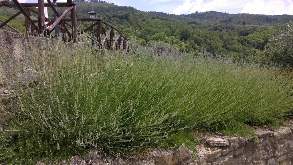 Piccolo Relais Galletto Di Marzo Spa E Relax Solo Per Due Paciano Exteriör bild